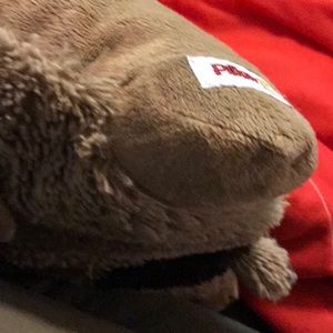 Meet your Posher, Mari